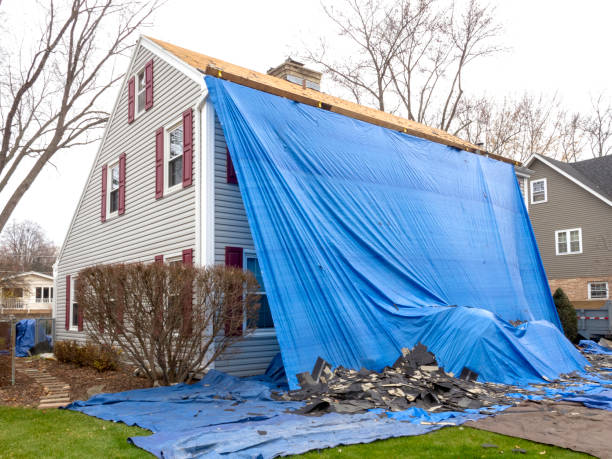 Best Carpet Removal and Disposal  in Lake Ozark, MO